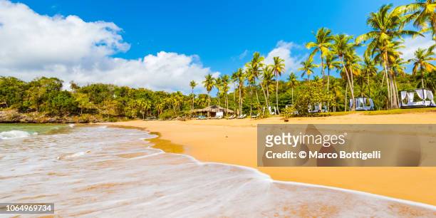 tourist resort in samana peninsula, dominican republic - dominican republic stock pictures, royalty-free photos & images