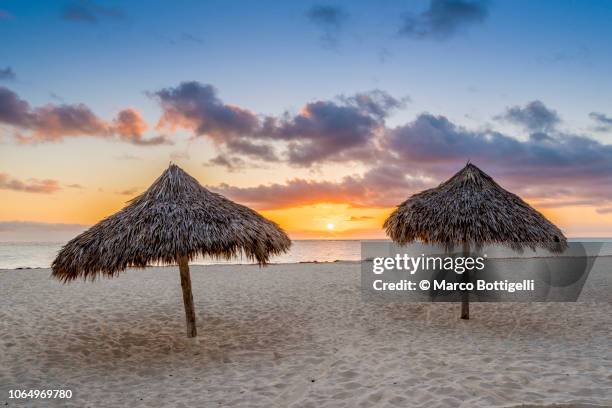 thatched beach umbrellas on the beach at sunrise - 2 dramatic landscape stock pictures, royalty-free photos & images