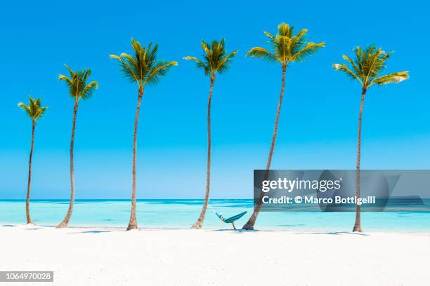 woman reading on a hammock on a tropical beach - domminican stock pictures, royalty-free photos & images