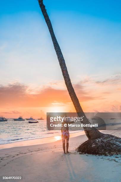 woman admiring the sunrise on a tropical beach - punta cana stock pictures, royalty-free photos & images