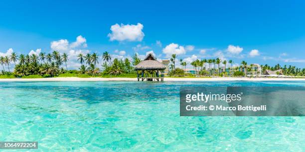 beach hut on a tropical beach, punta cana - dominikanische republik stock-fotos und bilder