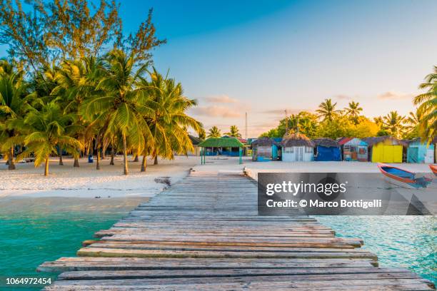 wooden pier to a tropical beach, saona island - caraïbische zee stockfoto's en -beelden