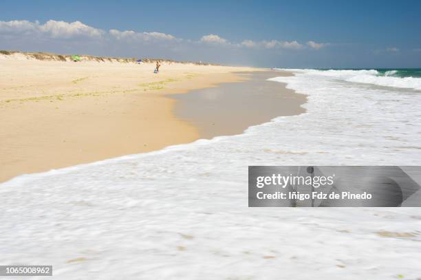 praia do barril, tavira, algarve, portugal. - tavira fotografías e imágenes de stock