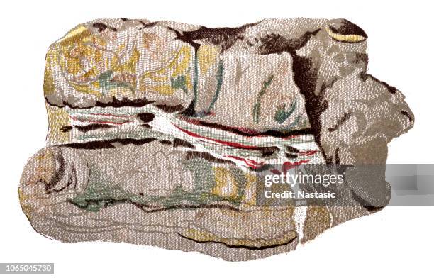 serpentin mineral found in serpentinite rocks - rock crystal stock illustrations