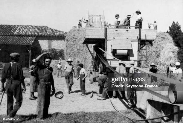 Wheat Threshing In The 1930'S