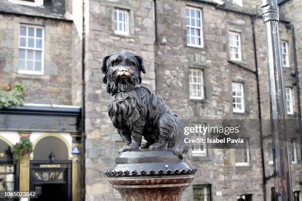 close-up of greyfriars bobby statue against building - greyfriars bobby statue photos et images de collection