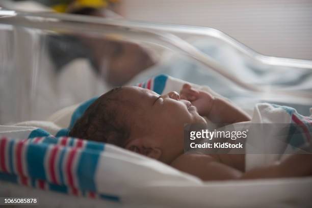 mixed race new born baby sleeping in hospital's crib - sala de maternidad fotografías e imágenes de stock