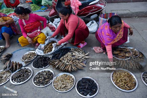 Imphal Market The Ima Market Photos and Premium High Res Pictures - Getty Images