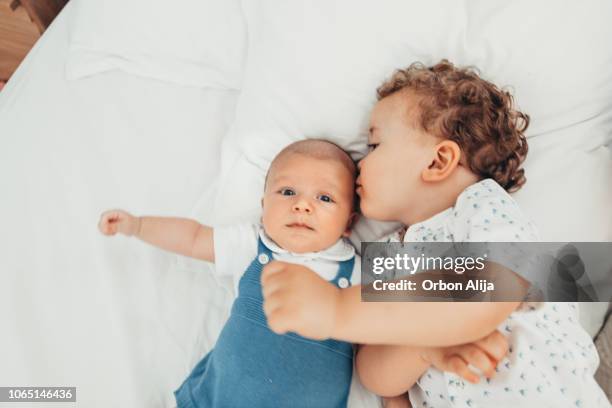 brothers on bed - newborn sibling stock pictures, royalty-free photos & images