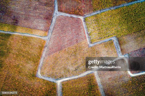 france from the sky : vines in bourgogne - rhone stock pictures, royalty-free photos & images