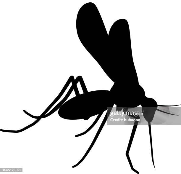 ilustrações, clipart, desenhos animados e ícones de ícone de mosquito com sombra longa - mosquito