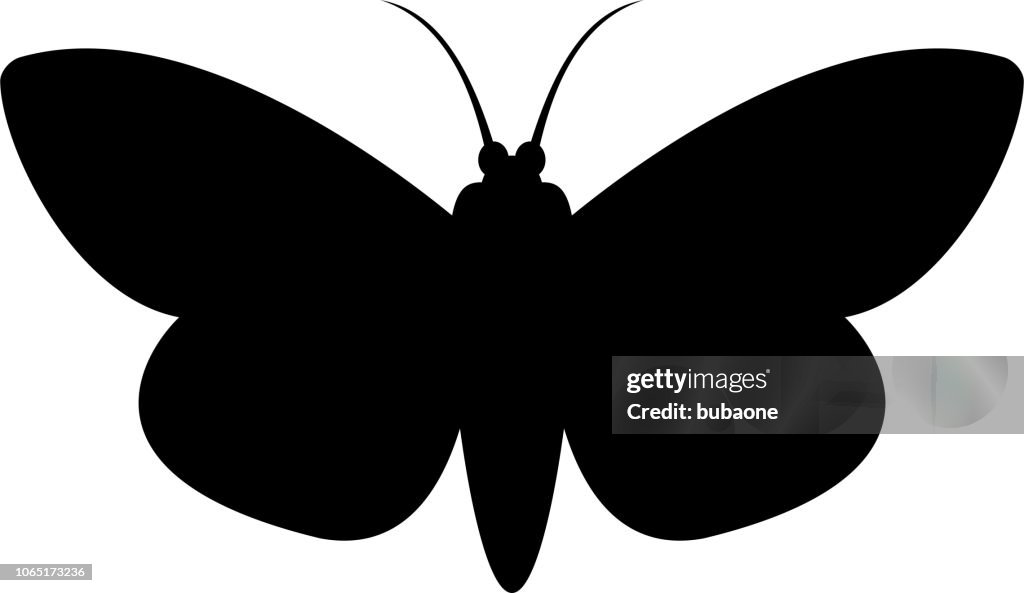 Moth Icon with Long Shadow