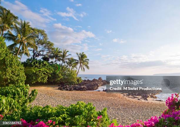 hawaii beach - makena beach stock pictures, royalty-free photos & images