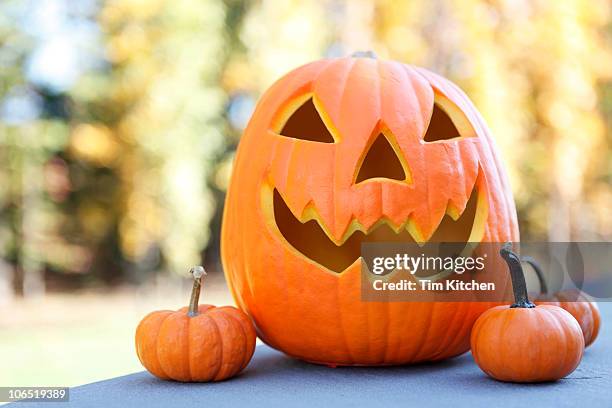 jack-o-lantern and three small pumpkins - halloween lantern stock pictures, royalty-free photos & images