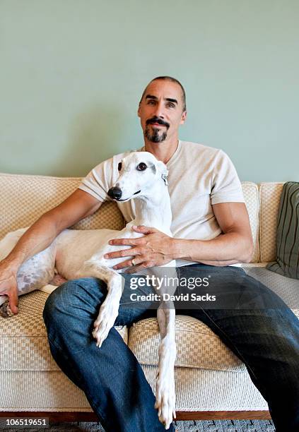 man on couch with dog - greyhound hunderasse stock-fotos und bilder