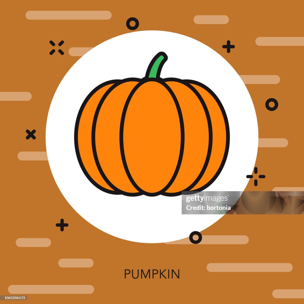 Pumpkin Thin Line Autumn Icon