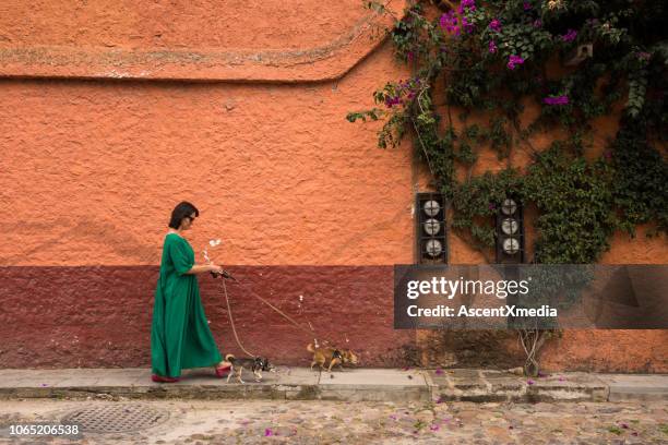 gatubilden i san miguel, mexiko - mini dress bildbanksfoton och bilder