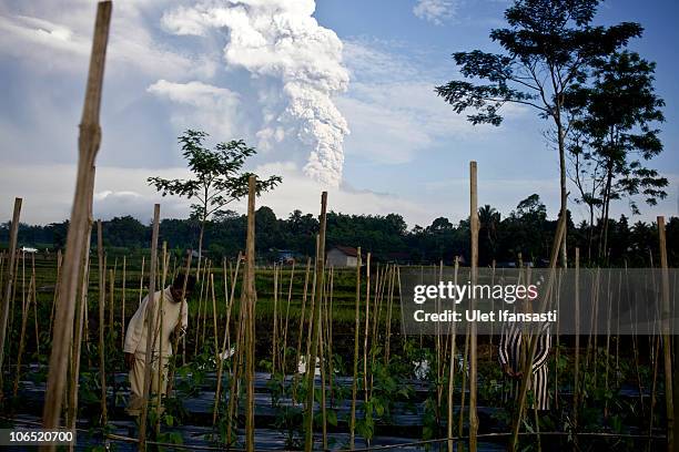 Evacuation Danger Zone Extended As Mount Merapi Erupts Again Photos and ...