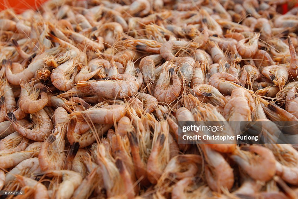 Southport Shrimpers Out At The Beginning Of The Season