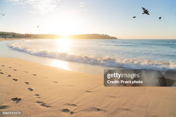 beautiful sunrise seascape in bondi beach at sydney, australia. - bondi beach imagens e fotografias de stock