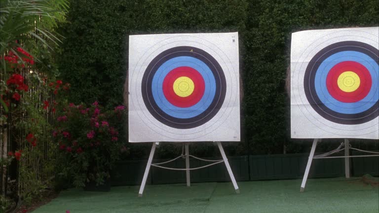 Two Foot Target 37 Two Side Arrow Stock Videos, Footage, & 4K Video Clips - Getty Images