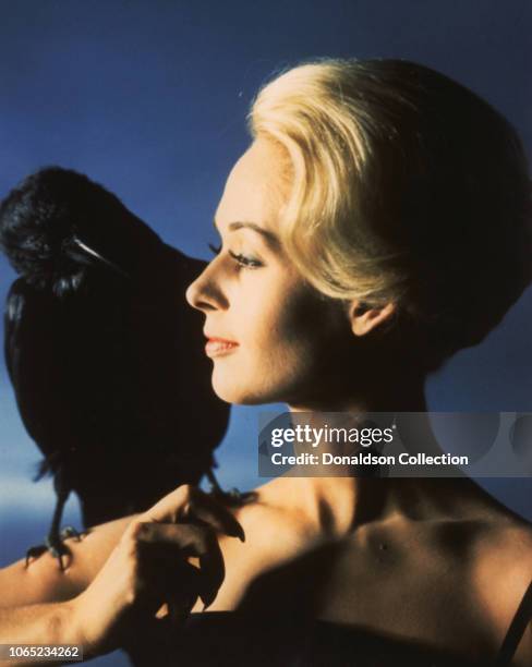 Actress Tippi Hedren in a scene from the movie "The Birds"