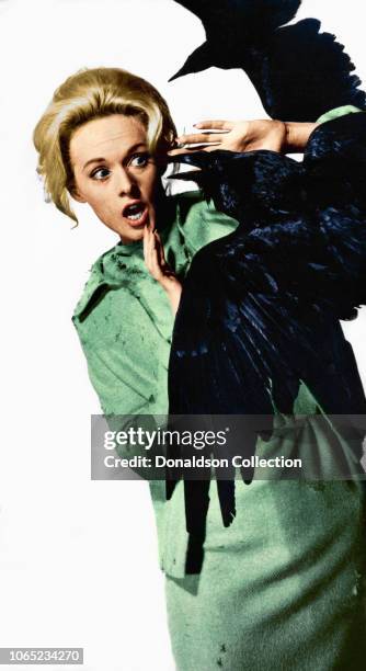 Actress Tippi Hedren in a scene from the movie "The Birds"