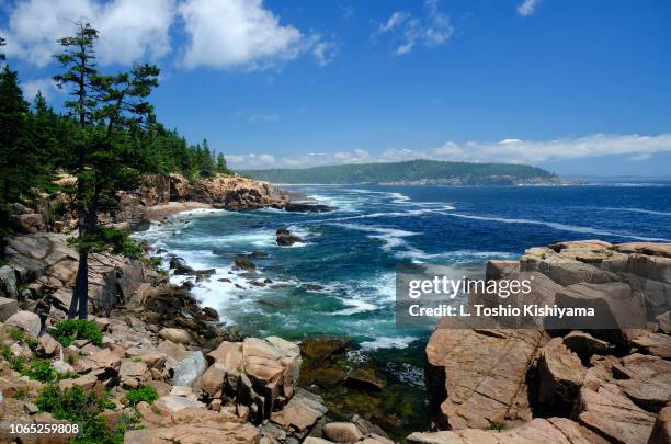 rocky shoreline at acadia national park in maine - maine coastline stock pictures, royalty-free photos & images