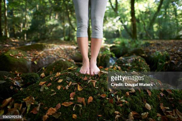 feet on moss covered rock in autumn woodland. - barefoot women stock-fotos und bilder