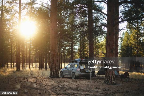 dispersed camping in national forest - oregon wilderness stock pictures, royalty-free photos & images