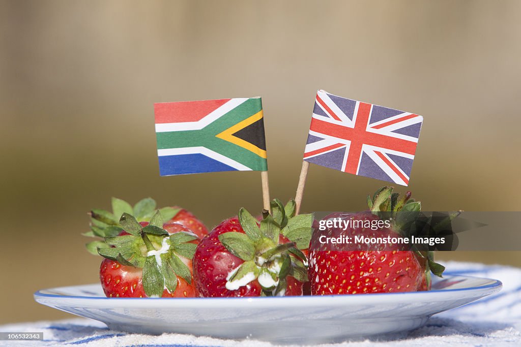 África do Sul-UK relações bilaterais