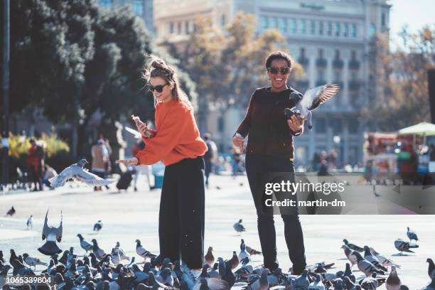 frauen in barcelona tauben füttern - tauben füttern stock-fotos und bilder