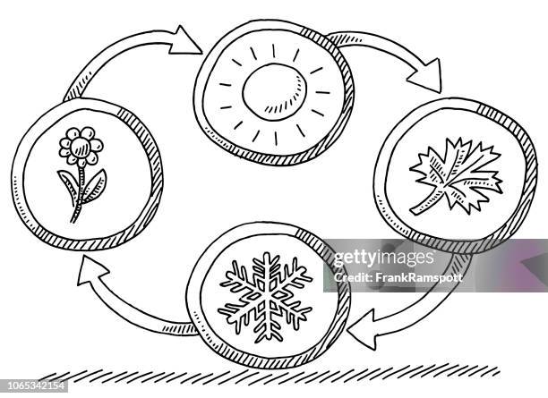 ilustrações de stock, clip art, desenhos animados e ícones de four seasons summer autumn winter spring drawing - quatro-estações