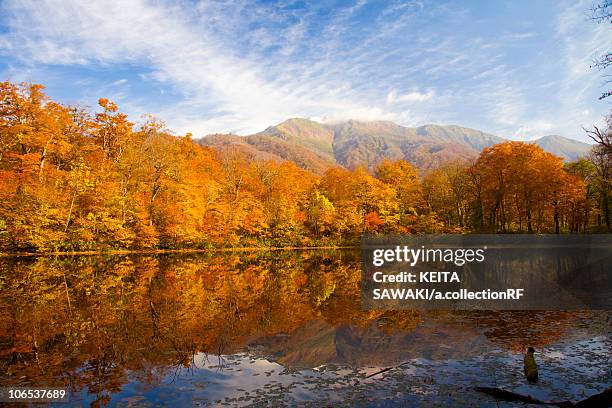 lake karikomi in autumn, fukui prefecture, honshu, japan - fukui prefecture stock pictures, royalty-free photos & images