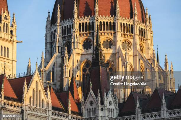 detail view of famous hungarian parliament at sunrise, budapest, hungary - flying buttress foto e immagini stock