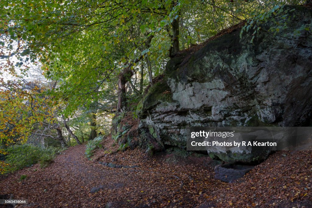 The Wizards Well, Alderley Edge, CHeshire, England