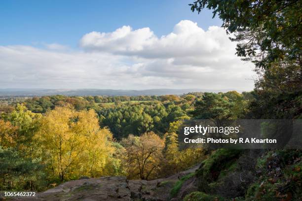 view from alderley edge in autumn, cheshire, england - cheshire stock-fotos und bilder