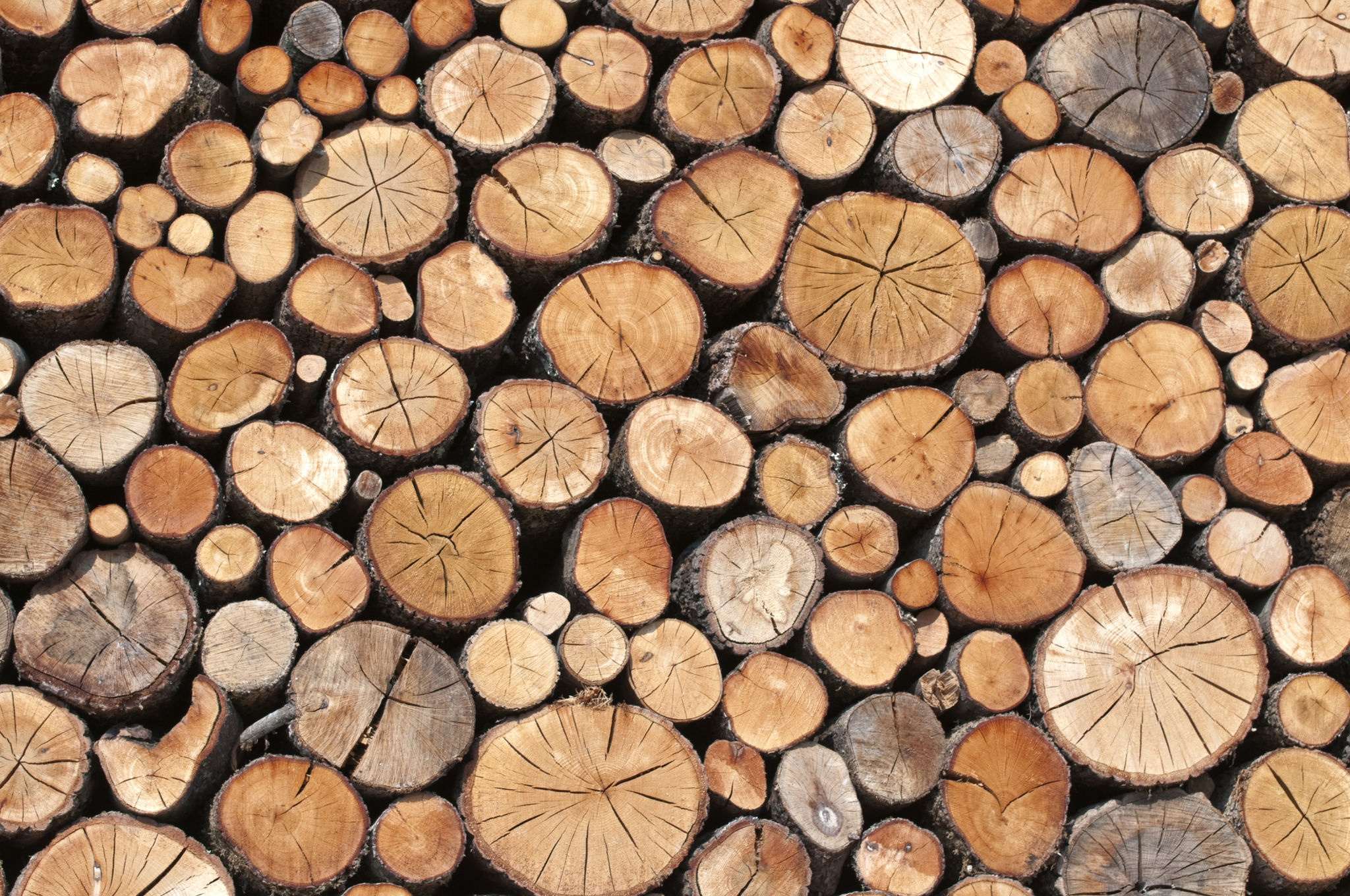 stacked wood