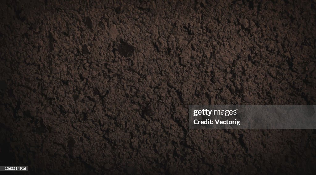 Grey concrete or cement texture for background