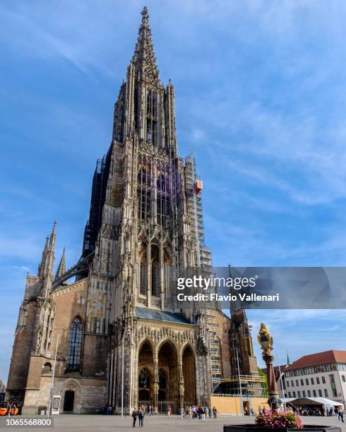 ulm minster (baden-württemberg, germany) - ulm stock pictures, royalty-free photos & images