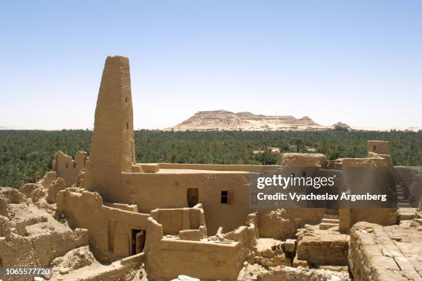 mosque in temple of the oracle of amun, siwa oasis, egypt - siwa photos et images de collection