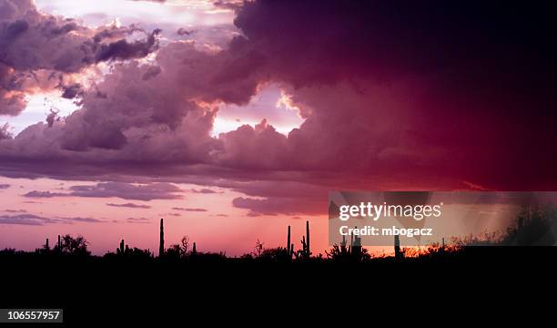 stormy deserto tramonto - pima county foto e immagini stock