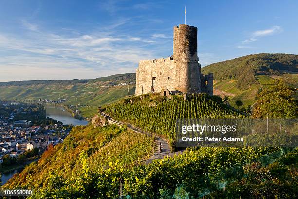 landshut castle above mosel river, germany - burg stock-fotos und bilder