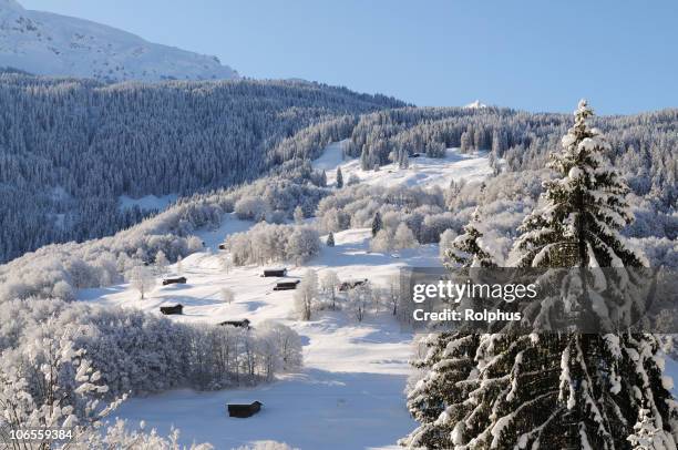 schönen winter sehenswürdigkeiten schweizer alpen davos - davos stock-fotos und bilder