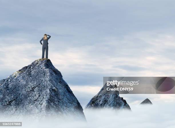 businesswoman standing on mountain top - bridging the gap stock pictures, royalty-free photos & images