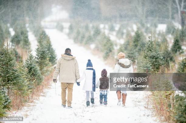 family tradition - winter stock pictures, royalty-free photos & images