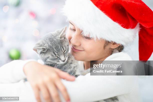 抱著一隻貓 - christmas kittens 個照片及圖片檔