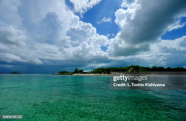 bimini island in the bahamas - bimini fotografías e imágenes de stock