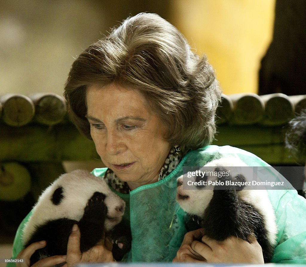 Queen Sofia of Spain Visits Madrid Zoo Acquarium