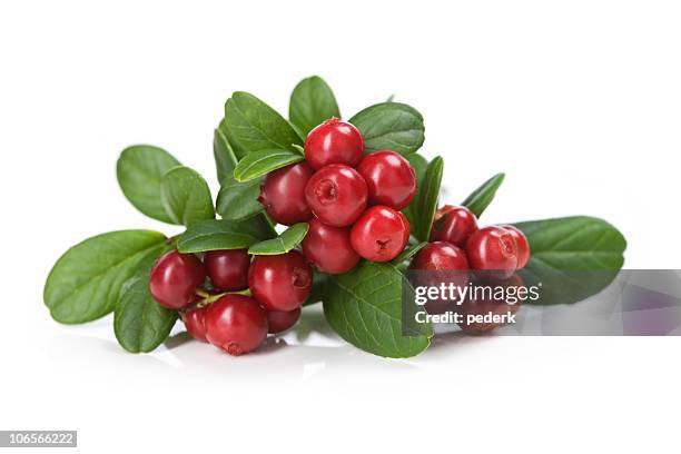 cranberries on white - cranberries stock pictures, royalty-free photos & images